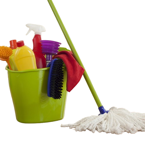 Professional Cleaning Solutions